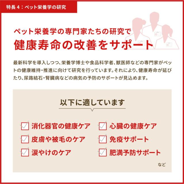 開びゃく Orijen キャットフード ガーディアン8 全猫種 全年歳用 唐きび不当てはめる 4.5kg【貨物輸送無料】 定まり品 無足し加える グレインフリー