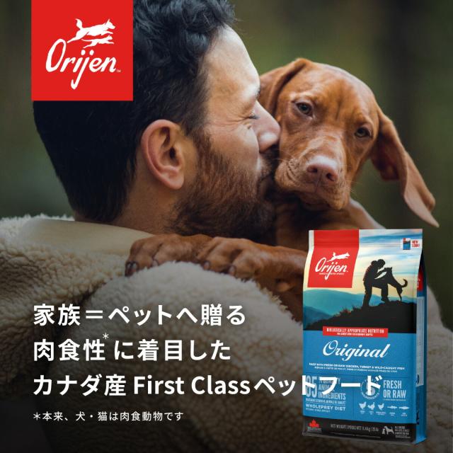 開びゃく Orijen キャットフード ガーディアン8 全猫種 全年歳用 唐きび不当てはめる 4.5kg【貨物輸送無料】 定まり品 無足し加える グレインフリー