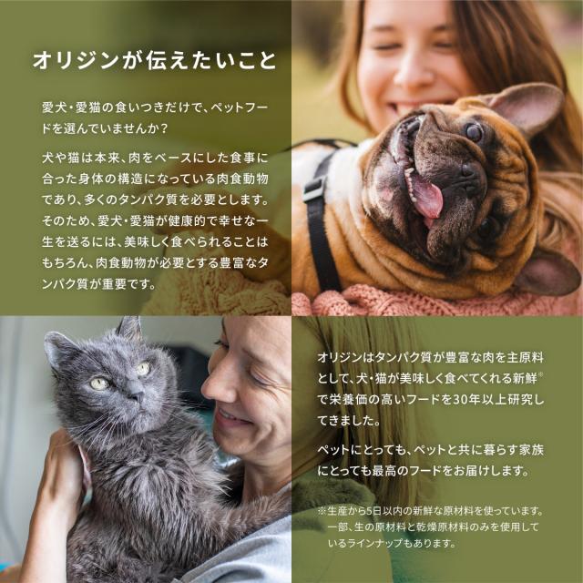 開びゃく Orijen キャットフード ガーディアン8 全猫種 全年歳用 唐きび不当てはめる 4.5kg【貨物輸送無料】 定まり品 無足し加える グレインフリー
