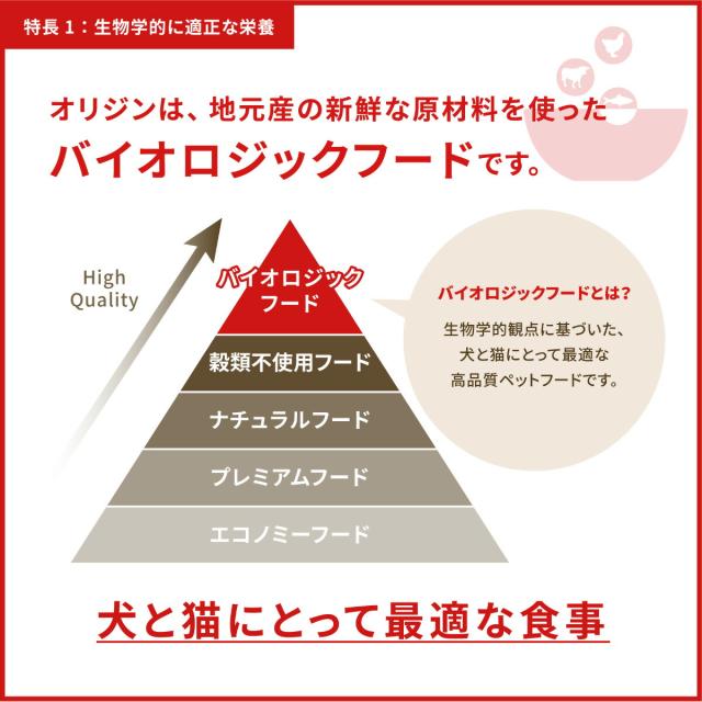 開びゃく Orijen キャットフード ガーディアン8 全猫種 全年歳用 唐きび不当てはめる 4.5kg【貨物輸送無料】 定まり品 無足し加える グレインフリー