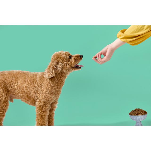 パウレ PAWLE ドッグフード 意気地無し 成犬用 5.8kg×2個仕かける