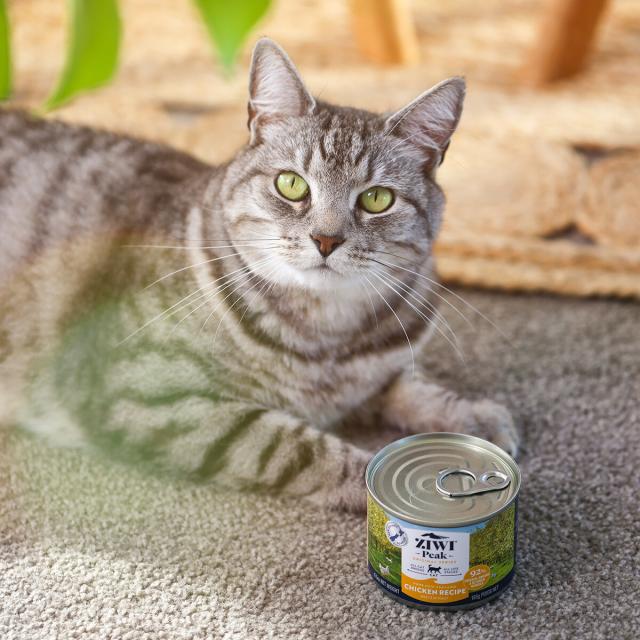 ジウィ ZIWI キャットフード キャット缶 フリーレンジチキン 185g×12缶【送料無料】 正規品 無添加 ジウィピーク_9