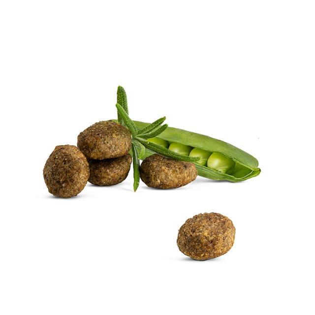 ハッピーキャット HAPPY CAT キャットフード カリナリー アトランティック サーモン 10kg【送料無料】