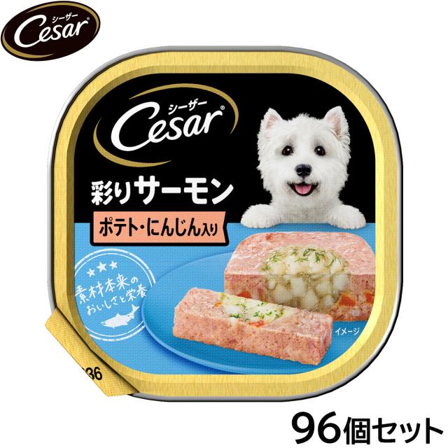 シーザー ドッグフード トレイ 成犬用 彩りサーモン ポテト・にんじん入り 100g×96個セットの通販は