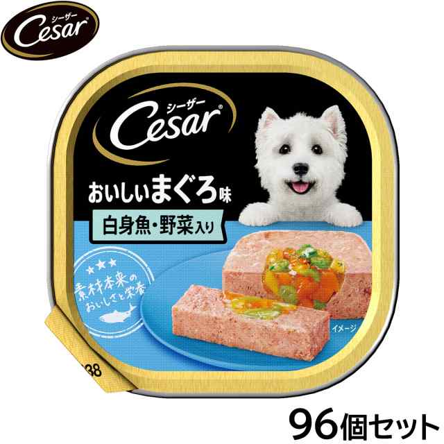 シーザー ドッグフード トレイ 成犬用 おいしいまぐろ味 白身魚・野菜入り 100g×96個セットの通販は