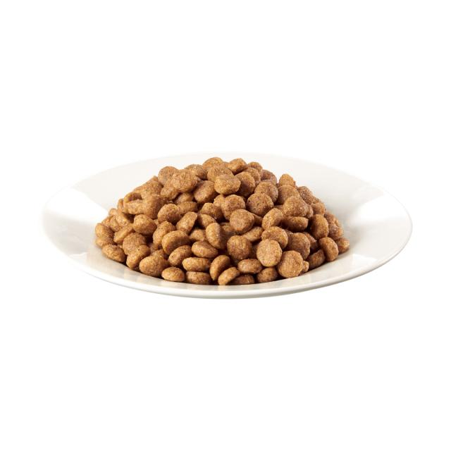 シーザー ドライ ドッグフード  成犬用 ラムと4種の農園野菜入り 小粒 1.5kg×6個セット_1