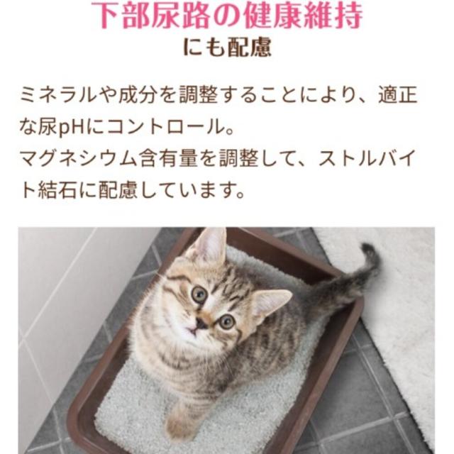 メディファス アドバンス キャットフード 関節・筋肉の健康維持 7歳頃から チキン味 1.15kg×6個セット_2