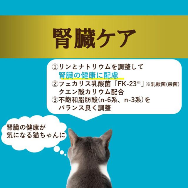 アイシア i CARE 腎臓ケア まぐろペースト キャットフード（一般食） 35g×96個セット_5
