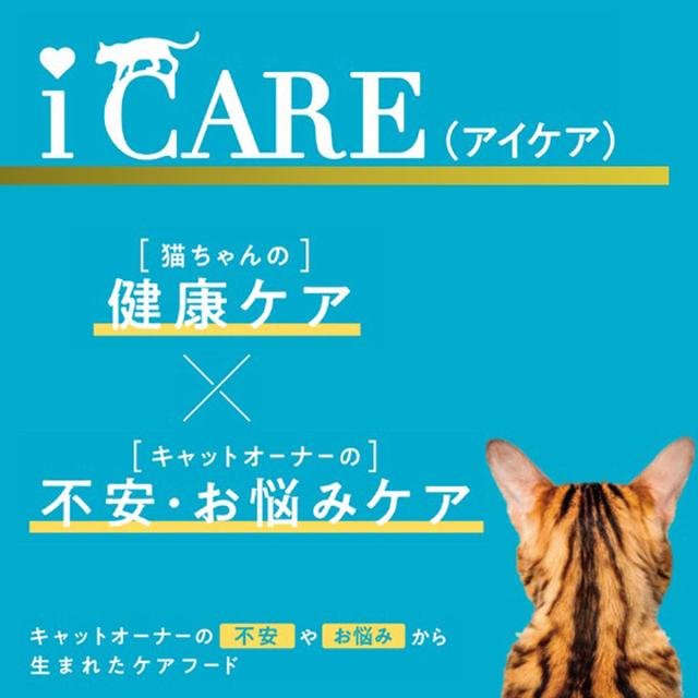 アイシア i CARE マルチビタミン まぐろペースト キャットフード（一般食） 35g×96個セット_2