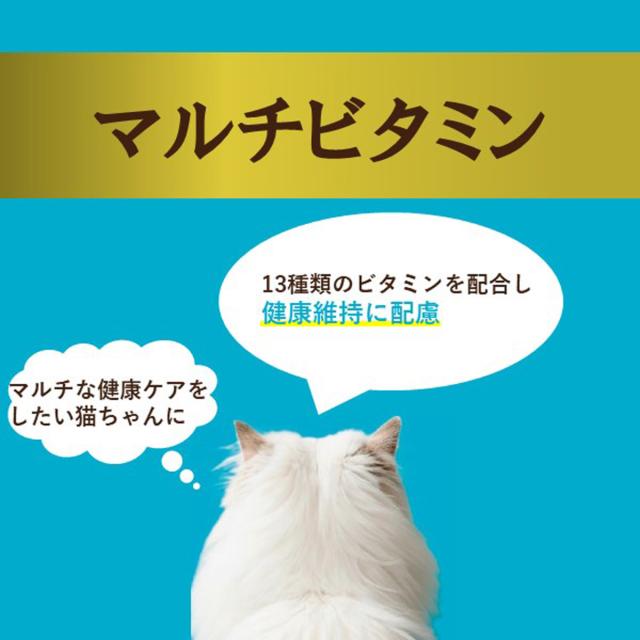 アイシア i CARE マルチビタミン まぐろペースト キャットフード（一般食） 35g×96個セット_5
