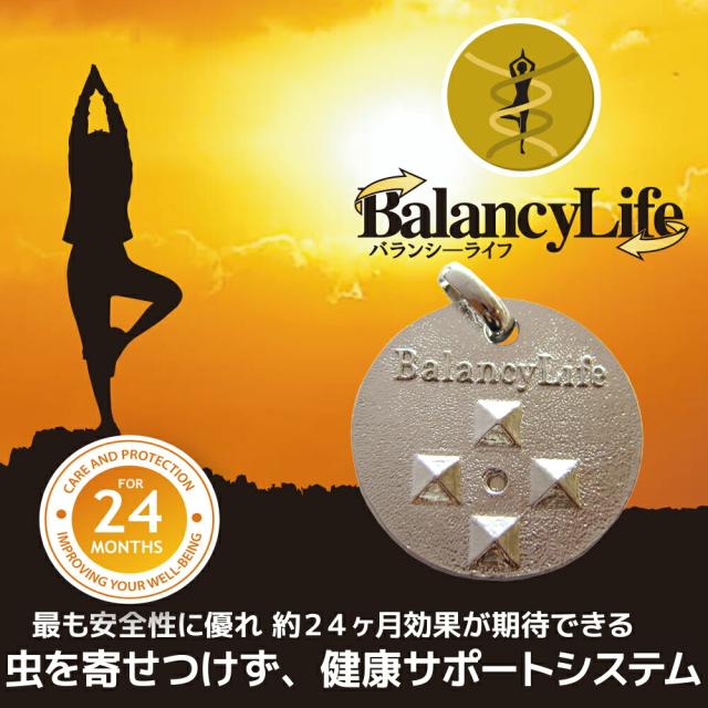 バランシーライフ シルバー（送料無料）_1