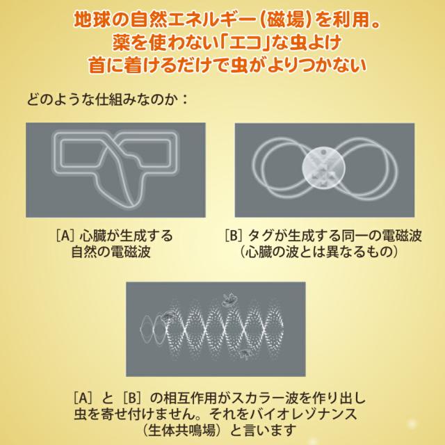 バランシーライフ シルバー（送料無料）_2