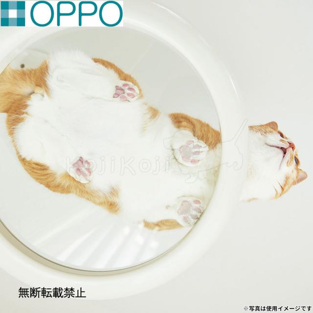 OPPO オッポ キャットフォレスト2用オプション ClearShelf クリアシェルフ ホワイト