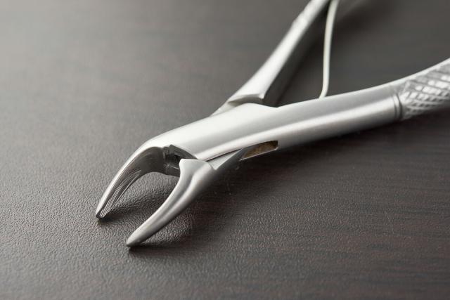 帝塚山ハウンドカム] 愛犬愛猫用 歯石取りペンチ デンタルケア用品 歯