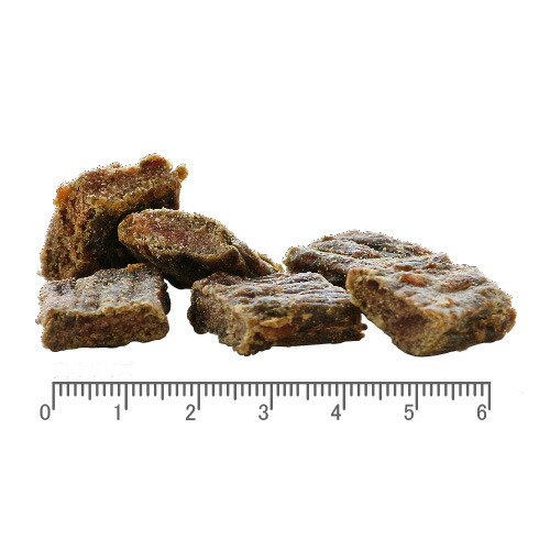 iti（イティ） エアードライ キャットフード チキン＆サーモン ディナー 1kg（200g×5袋） 送料無料 無添加 非加熱フード 穀物不使用 グレインフリー 天然 ナチュラル 小分け_1