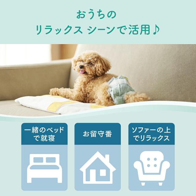 エリエール キミおもい リラックスウェア L 32枚×8袋【送料無料】_4