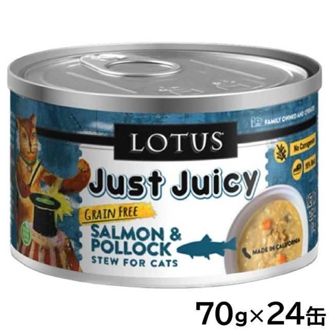 ロータス キャットフード グレインフリー 無水調理ウェットフード サーモン＆ポロック シチュー 70g×24缶セット【送料無料】 無添加 缶詰
