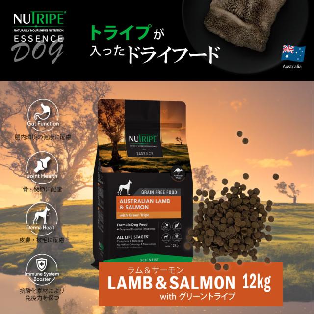 ニュートライプ GFドライ ドッグ ラム＆サーモン with グリーントライプ 12kg 送料無料グレインフリー 穀物不使用 犬 ドッグフード 無添加_1