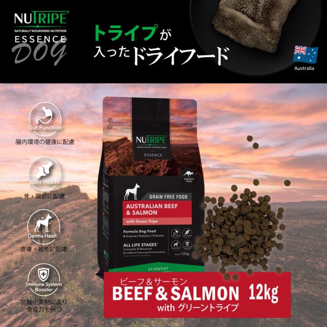 ニュートライプ GFドライ ドッグ ビーフ＆サーモン with グリーントライプ 12kg 送料無料 グレインフリー 穀物不使用 犬 ドッグフード 無添加_1