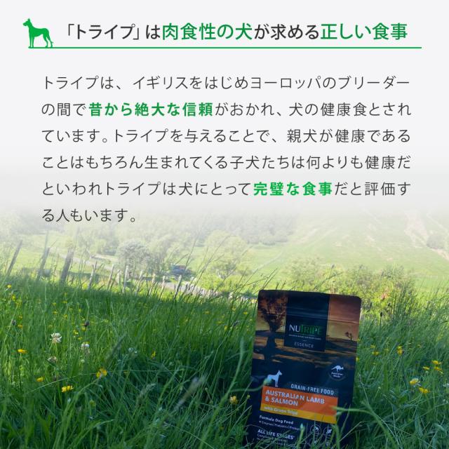 ニュートライプ GFドライ ドッグ ビーフ＆サーモン with グリーントライプ 12kg 送料無料 グレインフリー 穀物不使用 犬 ドッグフード 無添加_7