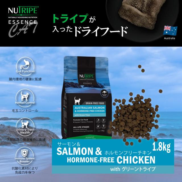 ニュートライプ GFドライ キャット サーモン＆チキン with グリーントライプ 1.8kg×6個セット_1