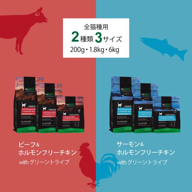 ニュートライプ GFドライ キャット サーモン＆チキン with グリーントライプ 1.8kg×6個セット_12