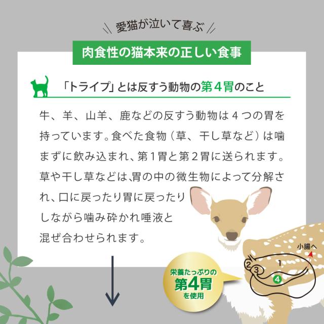 ニュートライプ GFドライ キャット サーモン＆チキン with グリーントライプ 1.8kg×6個セット_5
