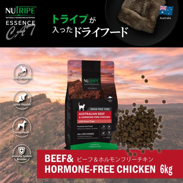 ニュートライプ GFドライ キャット ビーフ＆チキン with グリーントライプ 6kg 送料無料グレインフリー 穀物不使用 猫 キャットフード 無添加_1