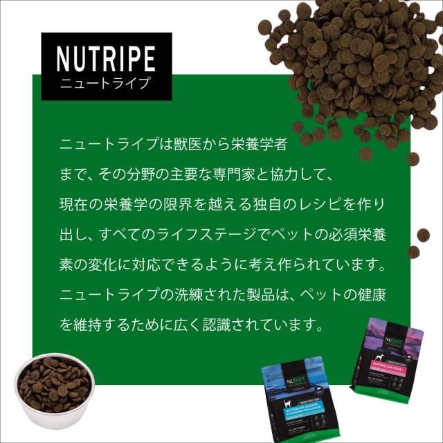 ニュートライプ GFドライ キャット ビーフ＆チキン with グリーントライプ 6kg 送料無料グレインフリー 穀物不使用 猫 キャットフード 無添加_10