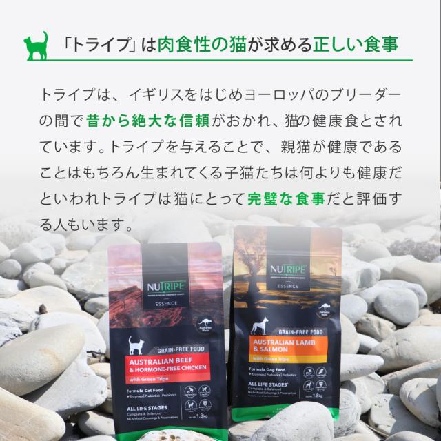 ニュートライプ GFドライ キャット サーモン＆チキン with グリーントライプ 200g×12袋【送料無料】 グレインフリー 穀物不使用 犬 ドッグフード 無添加_7
