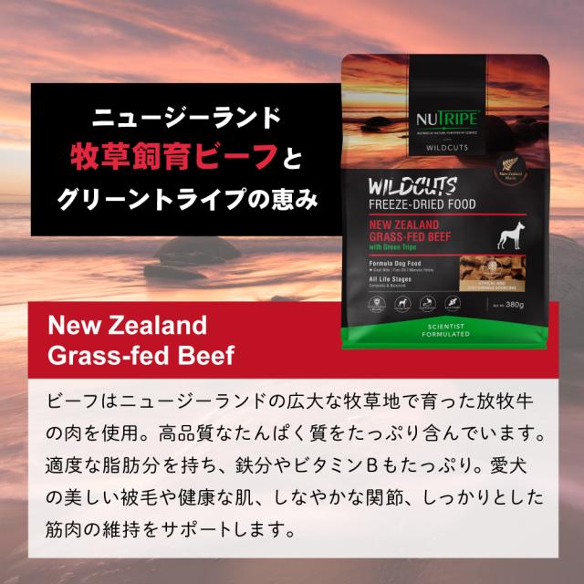 ニュートライプ NUTRIPE ドッグフード ワイルドカット フリーズドライ