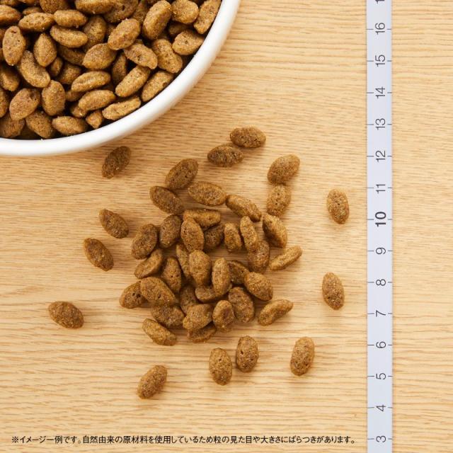 ニュートロ ナチュラル チョイス キャット 穀物フリー アダルト チキン 2kg（キャットフード 無添加 グレインフリー 穀物不使用）_1