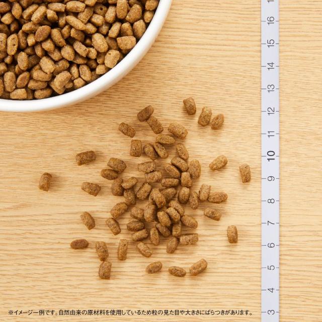 ニュートロ ナチュラルチョイス キャットフード 室内猫用 キトン チキン 2kg 無添加 子猫 猫のごはん_1