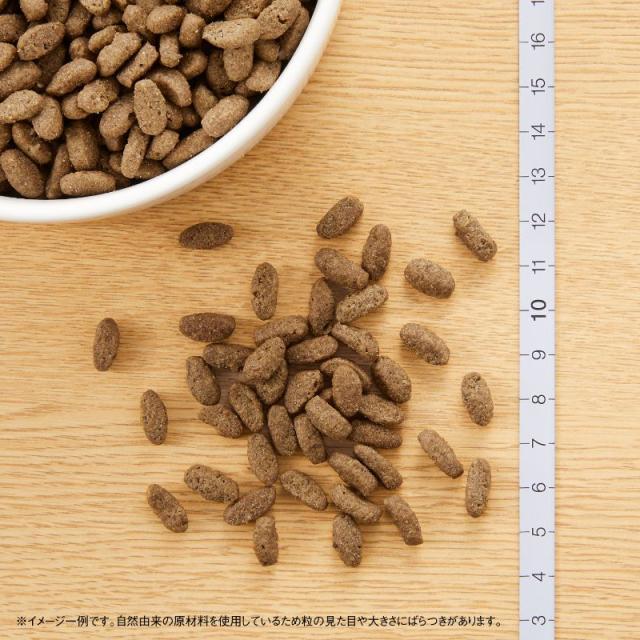 ニュートロ ナチュラルチョイス キャットフード 室内猫用 アダルト チキン 2kg 無添加 猫 ペットグッズ ペット用品_1