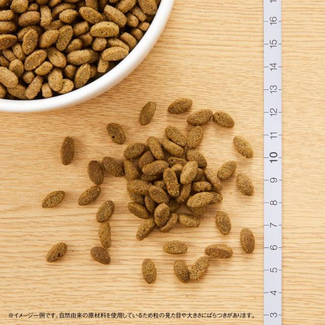 ニュートロ ナチュラルチョイス キャットフード 室内猫用 エイジングケア チキン 2kg 無添加 猫 ねこグッズ ペットグッズ ペット用品_1