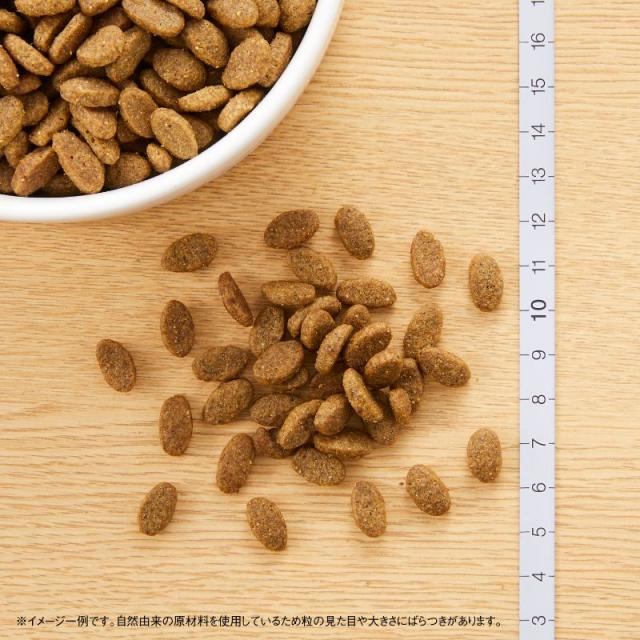 ニュートロ ナチュラルチョイス キャットフード 室内猫用 アダルト ターキー 2kg 無添加 猫 ねこグッズ ペットグッズ ペット用品_1