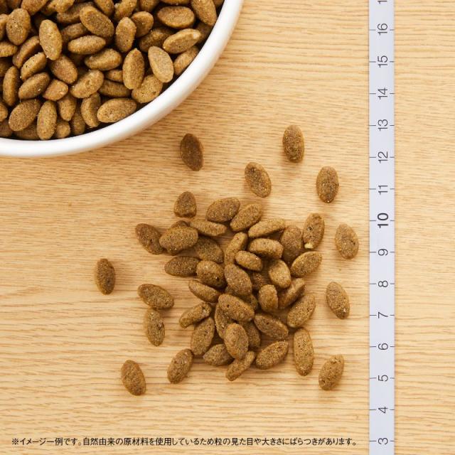 ニュートロ ナチュラルチョイス キャットフード 室内猫用 アダルト サーモン 2kg 無添加 猫 ねこグッズ ペットグッズ ペット用品_1