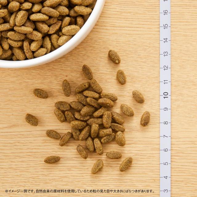 ニュートロ ナチュラルチョイス キャットフード 避妊・去勢猫用 アダルト 白身魚 2kg 無添加 猫 ペットグッズ ペット用品_1