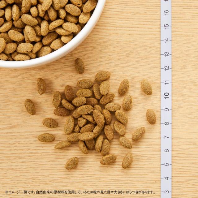 ニュートロ ナチュラルチョイス キャットフード 減量用 アダルト チキン 2kg 無添加 猫用品 ペットグッズ ペット用品_1