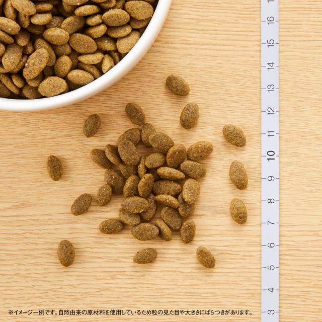 ニュートロ ナチュラルチョイス キャットフード 穀物フリー アダルト サーモン 2kg 無添加 猫ペット用品_1
