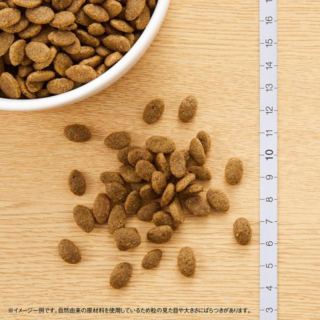 ニュートロ ナチュラルチョイス キャットフード 穀物フリー アダルト ダック 2kg 無添加 猫 ペットグッズ ペット用品_1
