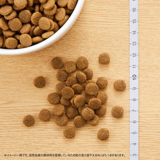 ニュートロ ナチュラルチョイス キャットフード 食にこだわる猫用 アダルト チキン 2kg 無添加 猫 ねこグッズ ペットグッズ ペット用品_1