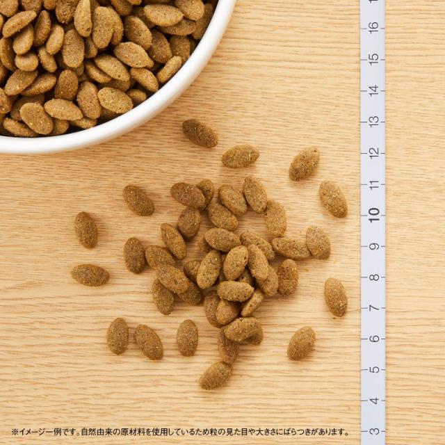 ニュートロ ナチュラルチョイス キャットフード 毛玉トータルケア アダルト チキン 2kg 無添加 猫 ペットグッズ ペット用品_1