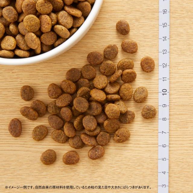ニュートロ ワイルド レシピ 超小型犬〜小型犬用 成犬用 ターキー 4kg（ドッグフード 穀物フリー グレインフリー 無添加 犬）_1
