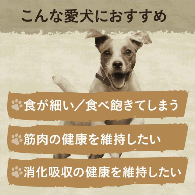 ニュートロ ワイルド レシピ 超小型犬〜小型犬用 成犬用 ターキー 4kg（ドッグフード 穀物フリー グレインフリー 無添加 犬）_5