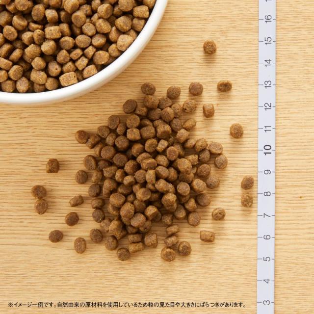ニュートロ キャットフード ワイルドレシピ キトン チキン 子猫用 2kg 穀物フリー グレインフリー 無添加 ナチュラル猫用_1