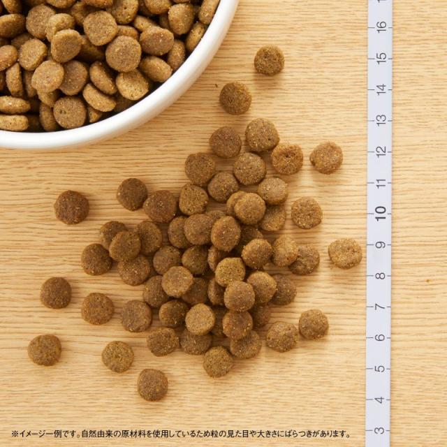 ニュートロ キャットフード ワイルドレシピ アダルト 白身魚 成猫用 2kg 穀物フリー グレインフリー 無添加 ナチュラル猫用_1