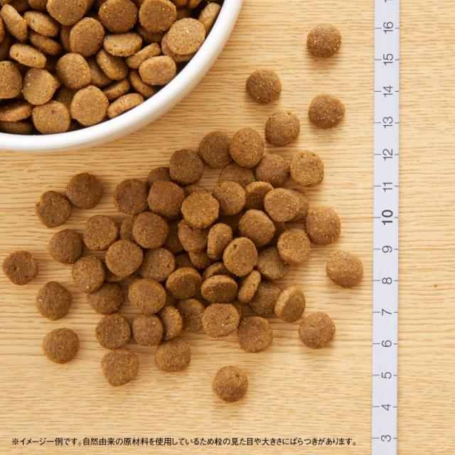 ニュートロ キャットフード ワイルドレシピ アダルト チキン 成猫用 2kg 穀物フリー グレインフリー 無添加 ナチュラル猫用_1