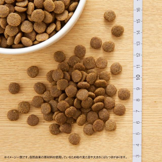 ニュートロ キャットフード ワイルドレシピ アダルト サーモン 成猫用 2kg 穀物フリー グレインフリー 無添加 ナチュラル猫用_1