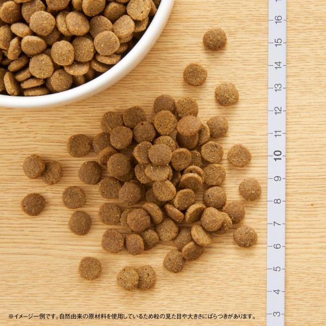 ニュートロ キャットフード ワイルドレシピ エイジングケア チキン シニア猫用 2kg 穀物フリー グレインフリー 無添加 ナチュラル猫用_1
